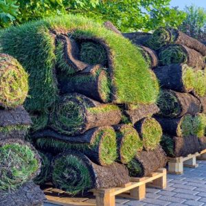 Buy Pallet of Sod (Covers 400-500 sq ft – $130)